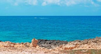 Sei alla ricerca di spiagge meravigliose in Sardegna? Scopri Cabras e le sue bellezze